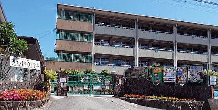 小学校　呉市立本通小学校（小学校）まで250m