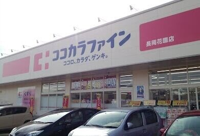 ドラックストア　ココカラファイン長岡花園店（ドラッグストア）まで707m