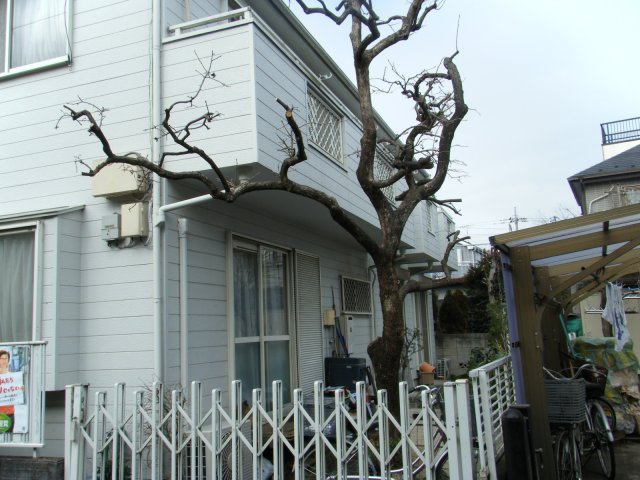 建物外観　きれいな外観です