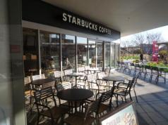 飲食店　スターバックスコーヒー イオン板橋店（飲食店）まで255m
