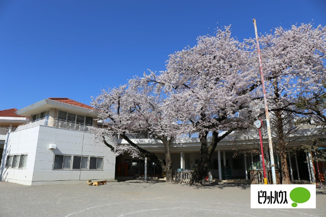 幼稚園・保育園　幼保連携型認定こども園二子山幼稚園（幼稚園・保育園）まで281m