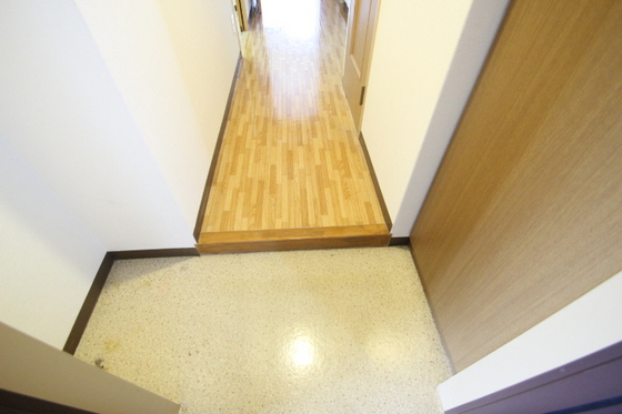 玄関　※他部屋の写真です。