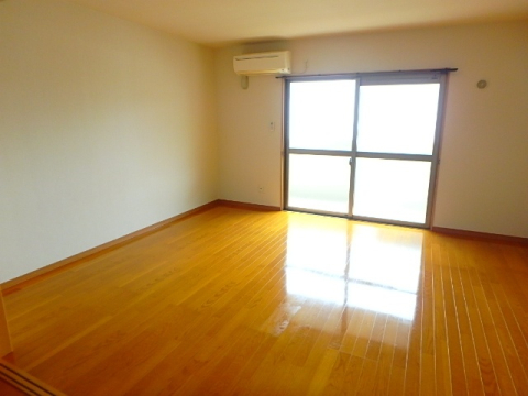 居室・リビング　※写真は他号室です