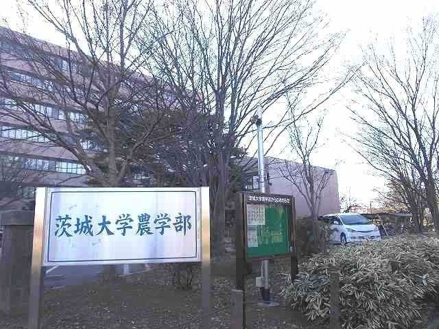 大学・短大　茨城大学農学部（大学・短大）まで700m