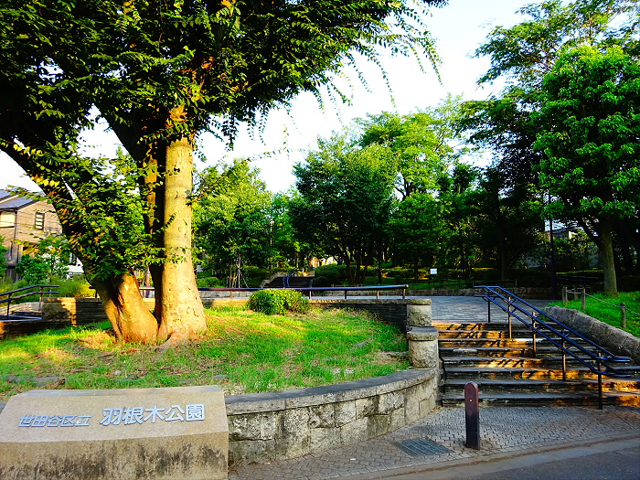 公園　羽根木公園（公園）まで291m