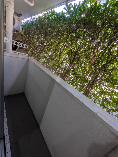 バルコニー　★バルコニー★