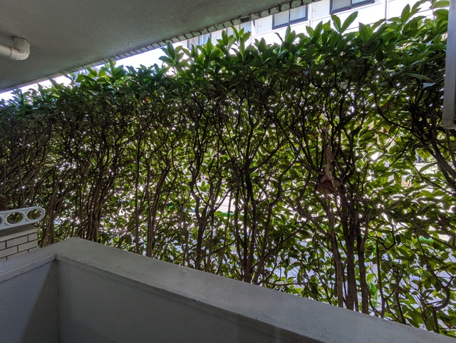 眺望　★景色★