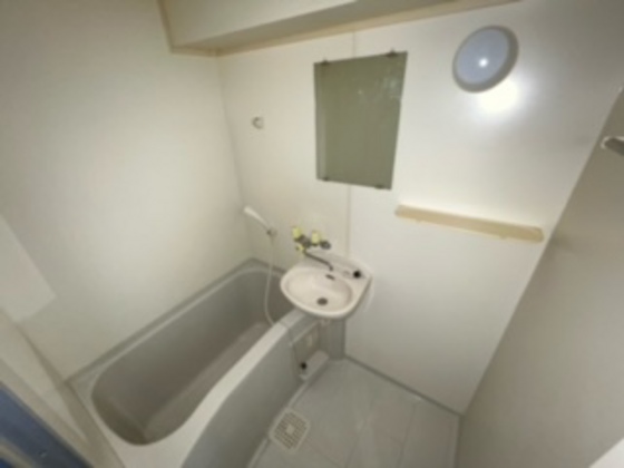 バス・シャワールーム　※別部屋の写真です