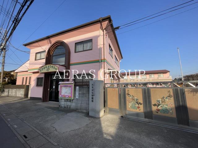 幼稚園・保育園　たちばな幼稚園（幼稚園・保育園）まで445m