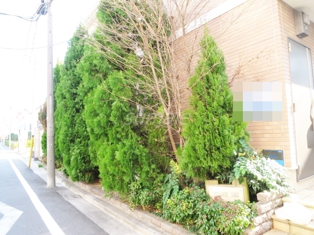 その他　緑がキレイです☆