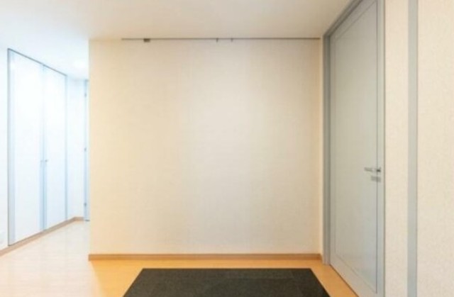 玄関　※同仕様タイプ