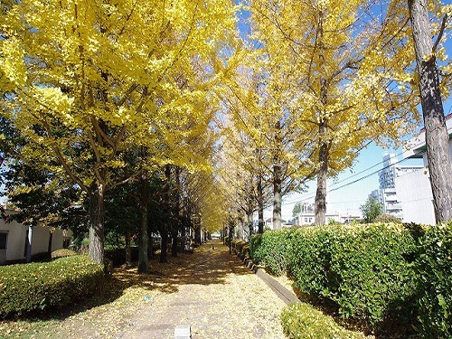 公園　駅東２号緑地（公園）まで260m