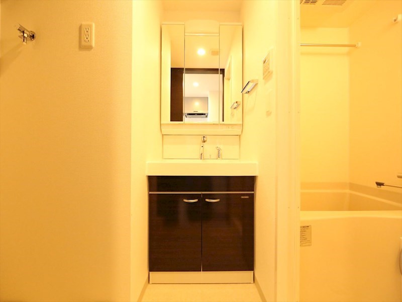 洗面設備　脱衣所　独立洗面台（シャンプードレッサー付）収納スペース有