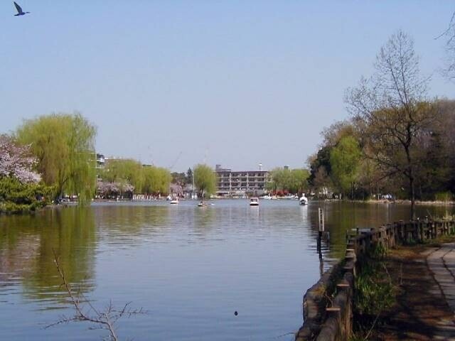 公園　石神井公園（公園）まで752m