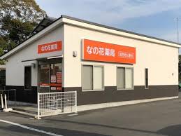 ドラックストア　エルデ薬局（ドラッグストア）まで733m