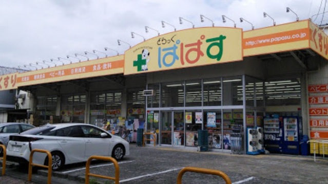 ドラックストア　どらっぐぱぱす武蔵小杉店（ドラッグストア）まで558m