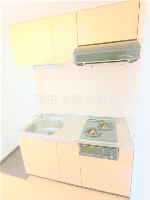 キッチン　2口ガスグリル付システムキッチン