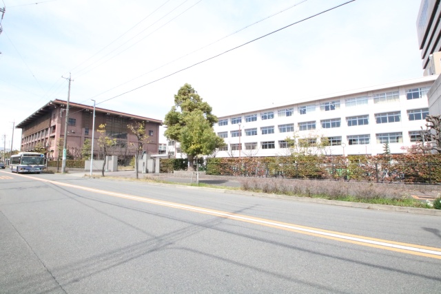 高校・高専　同朋学園同朋高校（高校・高専）まで800m