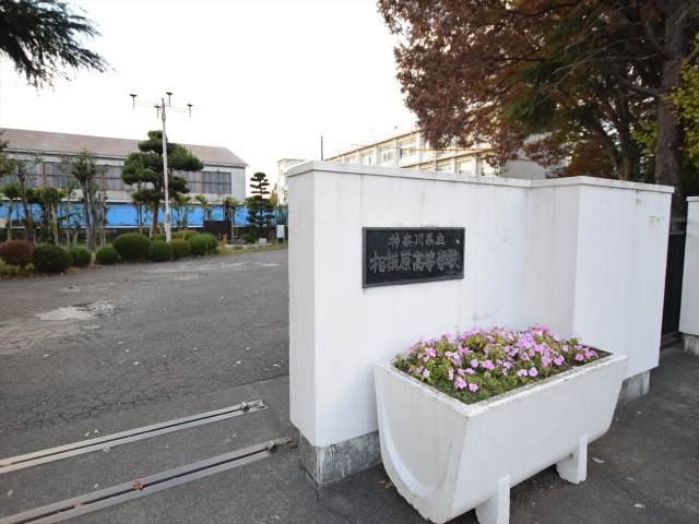 高校・高専　神奈川県県立相模原高等学校（高校・高専）まで316m