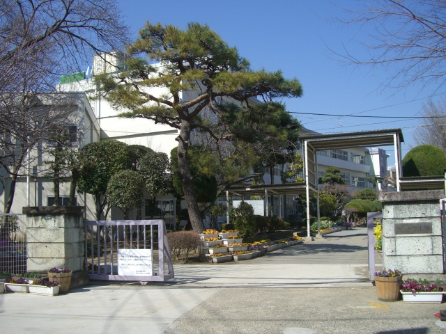 小学校　柏市立柏第一小学校（小学校）まで381m
