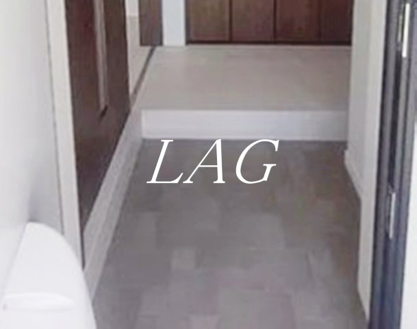 玄関　玄関です。（同仕様です。）