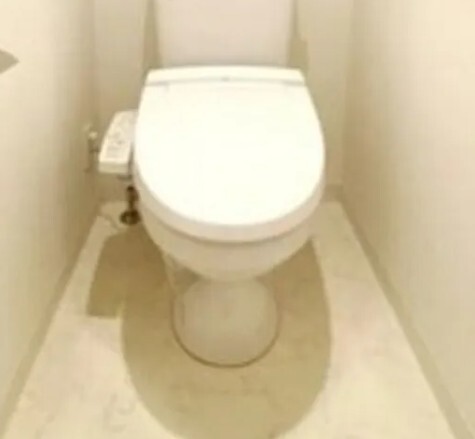 トイレ　他部屋参考写真