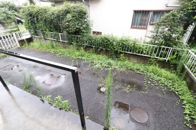 庭