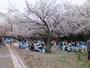 公園　都立代々木公園西門（公園）まで577m
