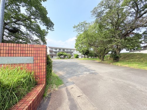 中学校　豊後大野市立三重中学校（中学校）まで1326m