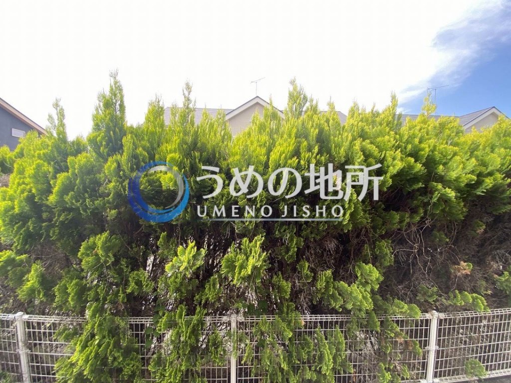 眺望　眺望