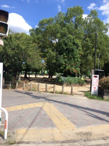 公園　大枝公園（公園）まで316m