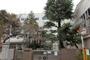 小学校　文京区立駒本小学校（小学校）まで546m
