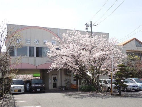 幼稚園・保育園　新田保育園（幼稚園・保育園）まで654m