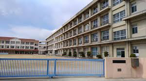 小学校　錦浦小学校（小学校）まで801m