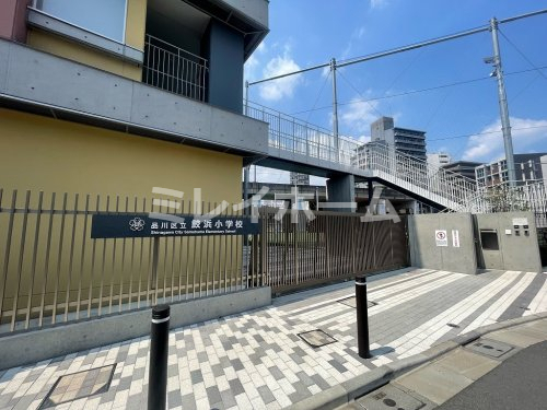 小学校　品川区立鮫浜小学校（小学校）まで198m