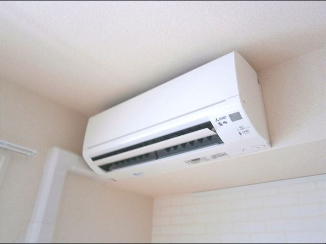 ひまわりのその他写真