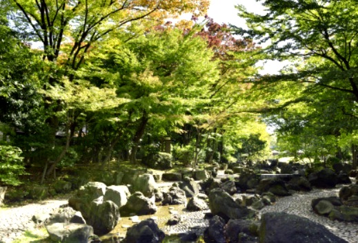 公園　大横川親水公園（公園）まで650m