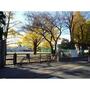 小学校　大和市立　大和小学校（小学校）まで450m