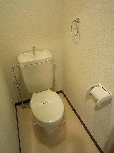 グランディール阪南町III番館のトイレ写真