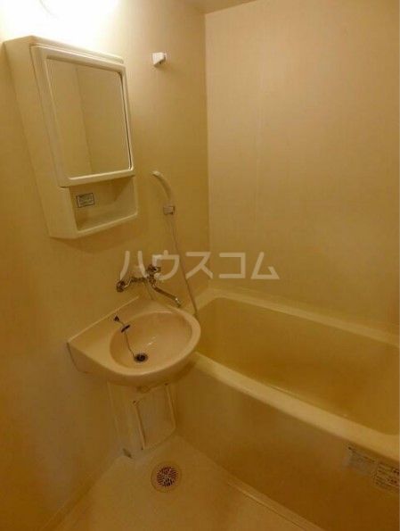 ほうれんそうの風呂写真