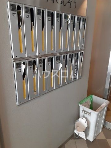 ほうれんそうのその他写真