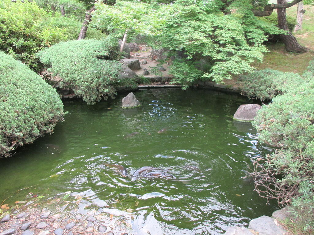 嵐山ロイアルハイツ6号棟307号の外観写真
