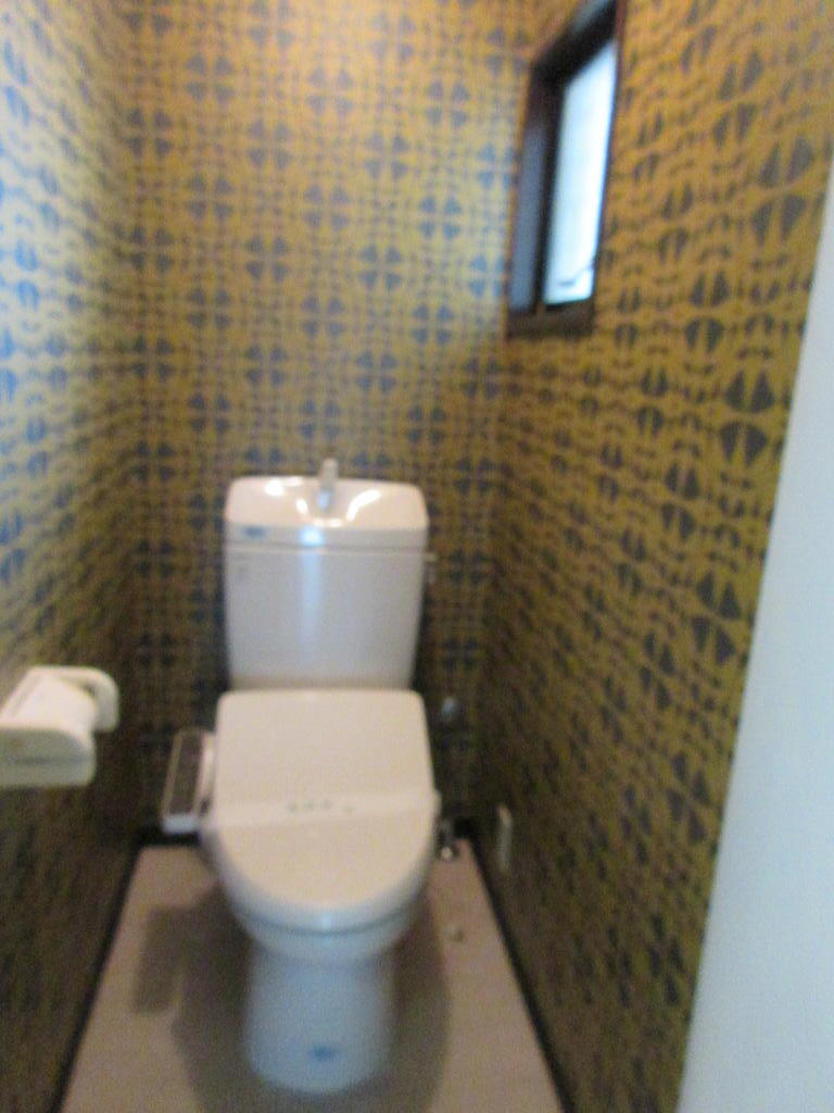 嵐山ロイアルハイツ6号棟307号のトイレ写真