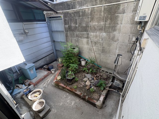 庭
