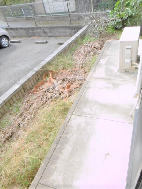 庭　お庭が付いています