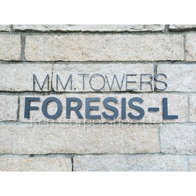 【Ｍ．Ｍ．ＴＯＷＥＲＳ　ＦＯＲＥＳＩＳ　Ｌ棟－Ｄのその他設備】