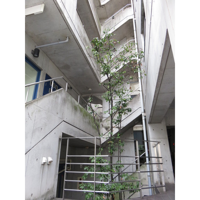 ロビー　お問い合わせは美濃善不動産駅前店へ！