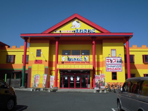 その他　カラオケまねきねこ（その他）まで790m