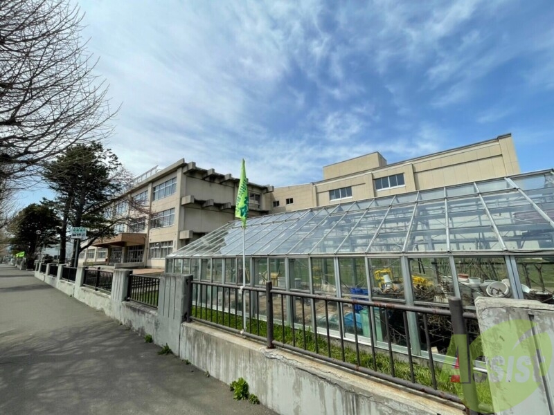 小学校　札幌市立北小学校（小学校）まで556m