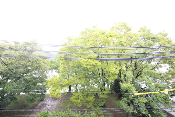 眺望　※別号室の写真です